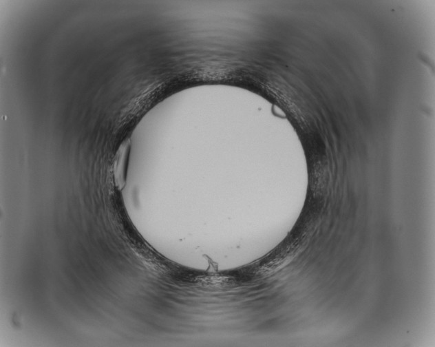 X0000098000497200804141210