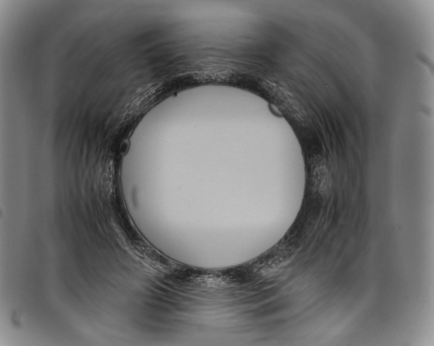 X0000098000498200804141210
