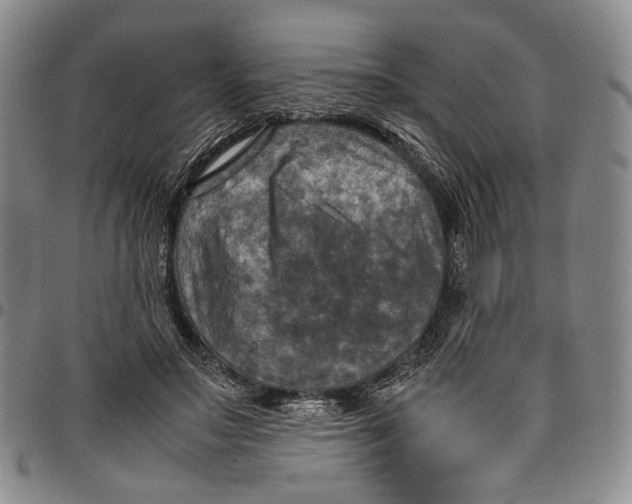X0000098000499200804141210