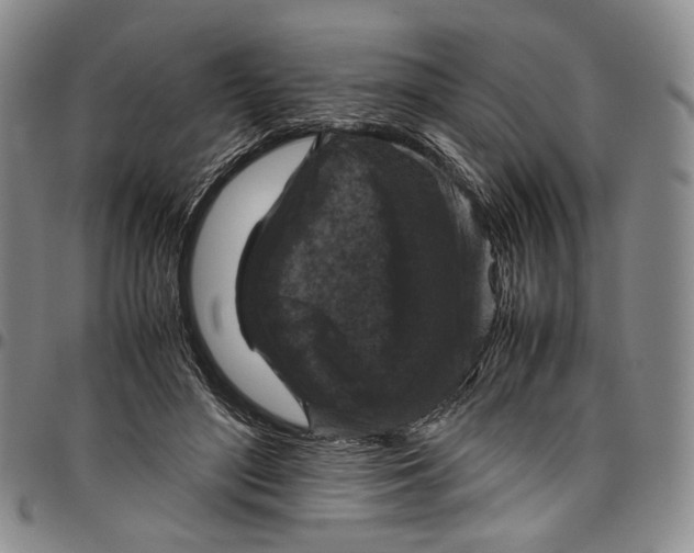 X0000098000500200804141210
