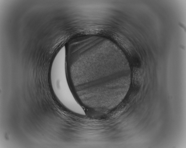 X0000098000501200804141210