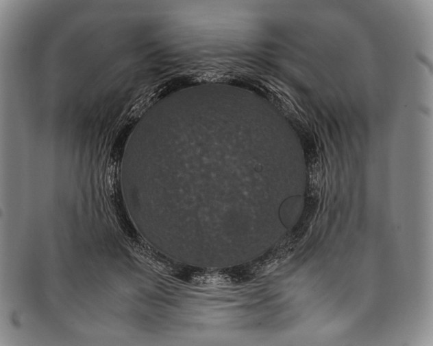 X0000098000503200804141210