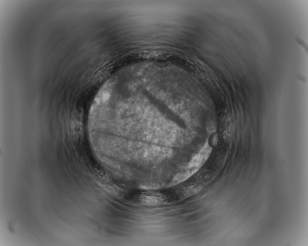 X0000098000510200804141210