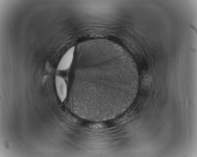 X0000098000513200804141210