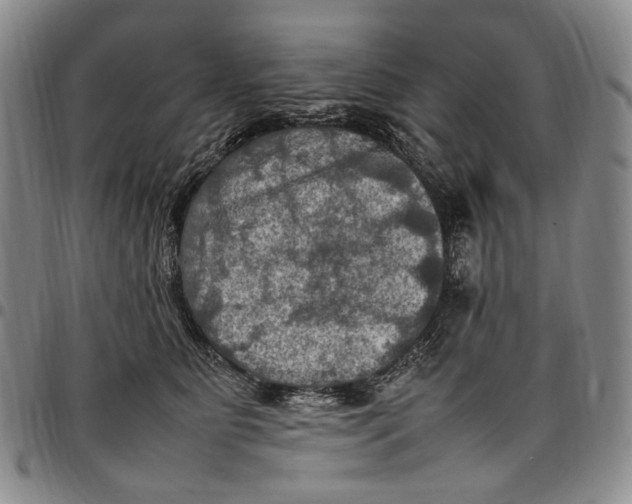 X0000098000515200804141210