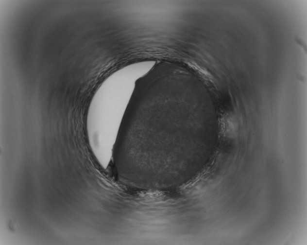 X0000098000517200804141210