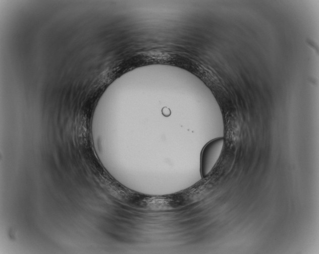 X0000098000518200804141210