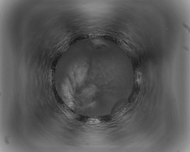 X0000098000519200804141210