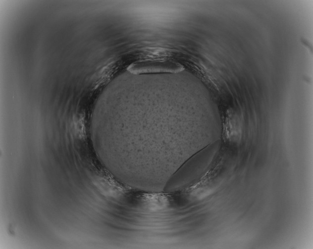 X0000098000520200804141210