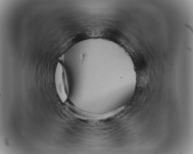 X0000098000521200804141210