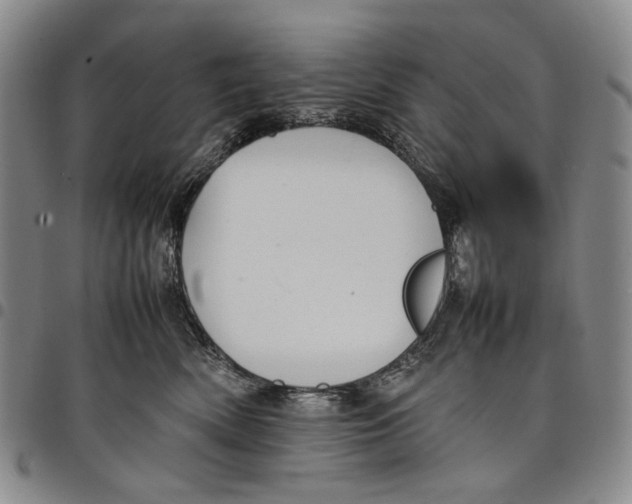 X0000098000522200804141210