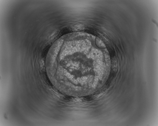X0000098000523200804141210