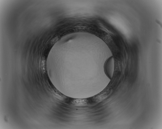 X0000098000526200804141210