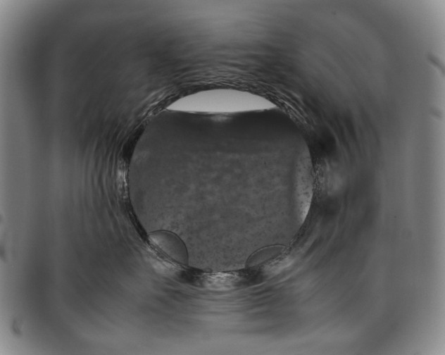 X0000098000527200804141210