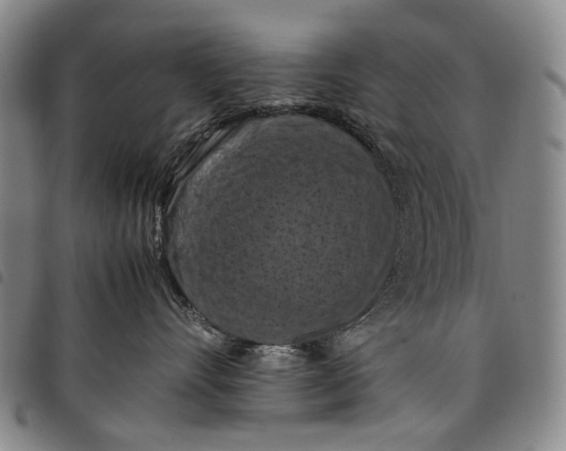 X0000098000528200804141210