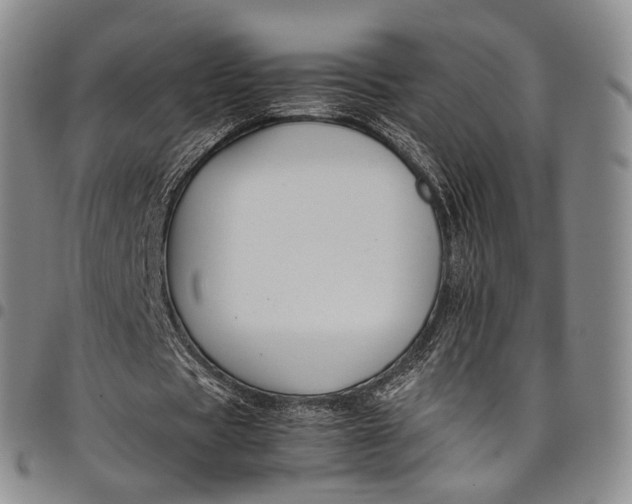 X0000098000529200804141209