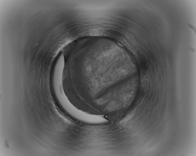 X0000098000530200804141209