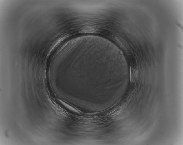 X0000098000531200804141209