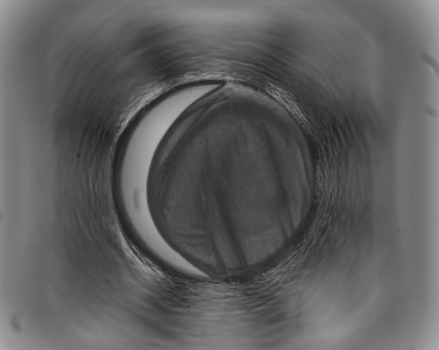 X0000098000534200804141209