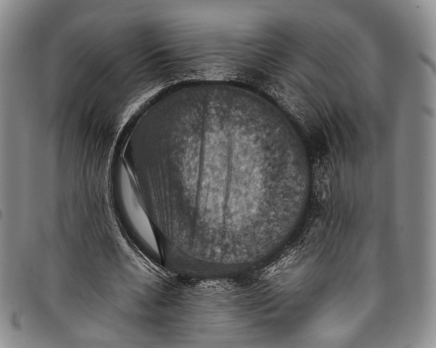 X0000098000536200804141209