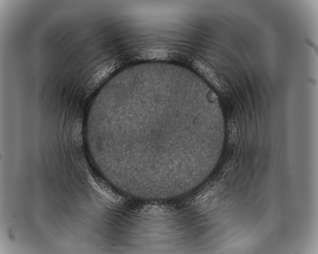 X0000098000538200804141209