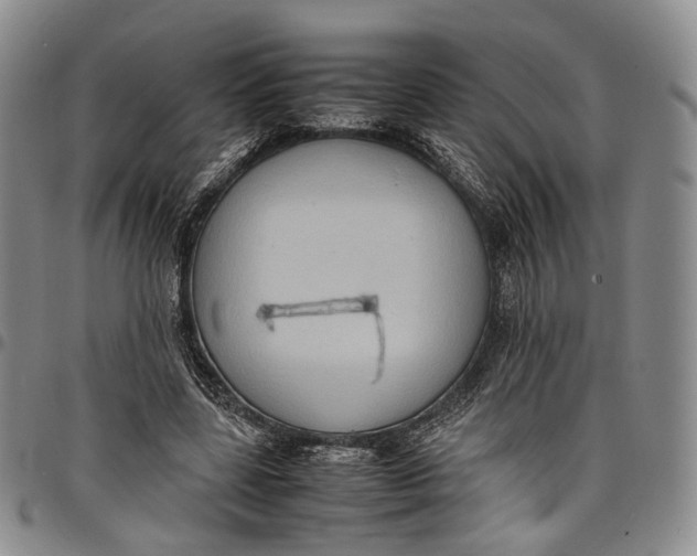X0000098000539200804141209