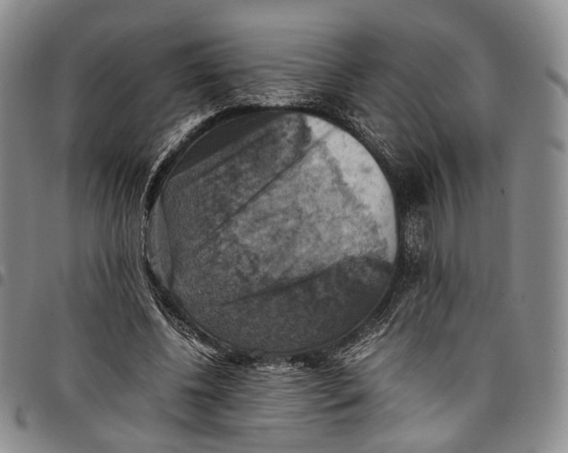 X0000098000540200804141209