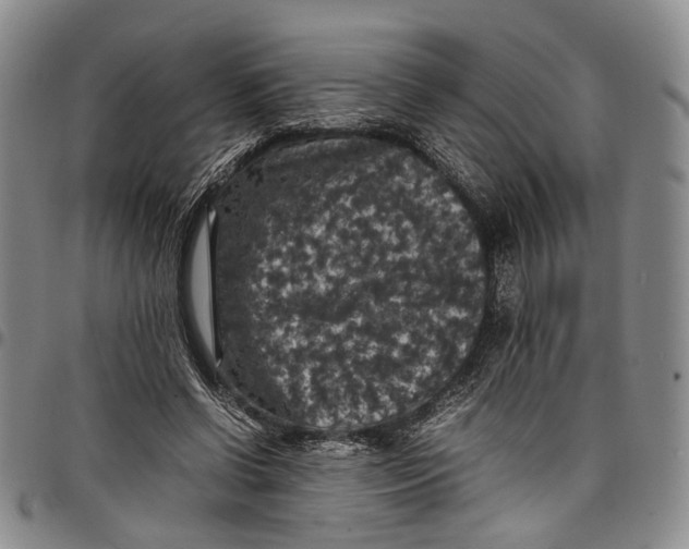 X0000098000542200804141209