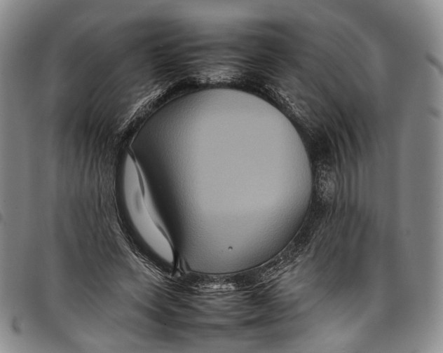 X0000098000543200804141209