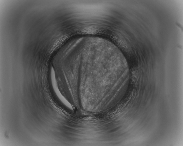 X0000098000544200804141209