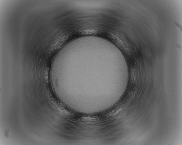 X0000098000545200804141209