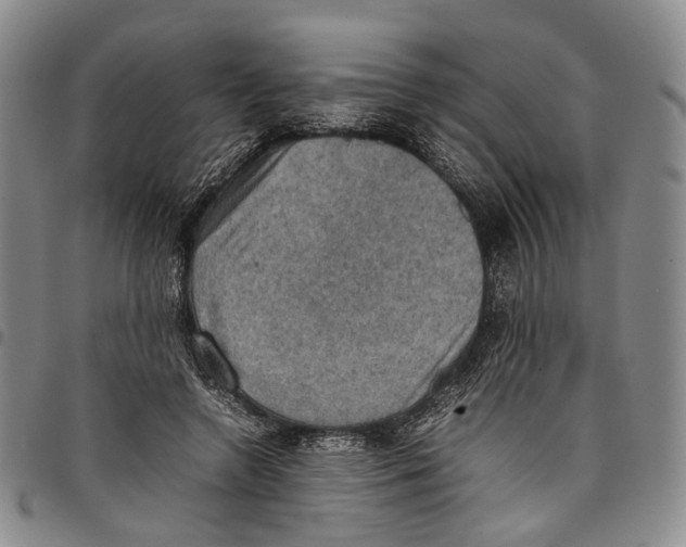 X0000098000546200804141209