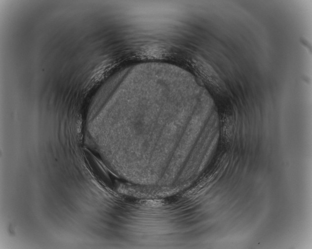 X0000098000548200804141209