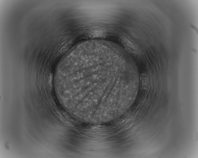 X0000098000550200804141209