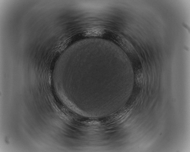 X0000098000551200804141209