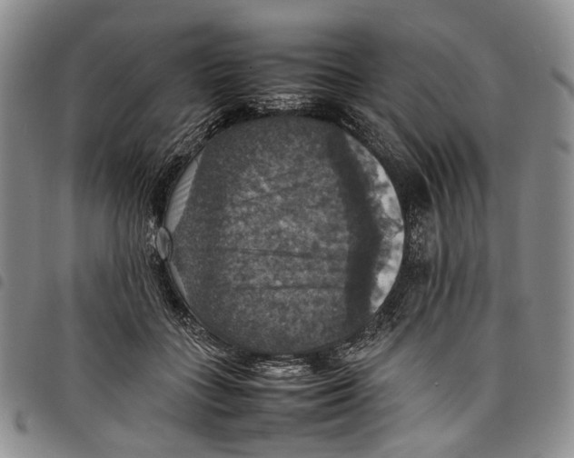 X0000098000555200804141209