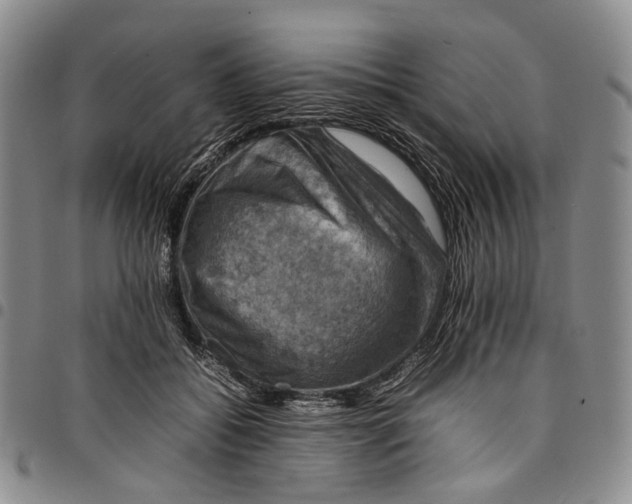 X0000098000556200804141209