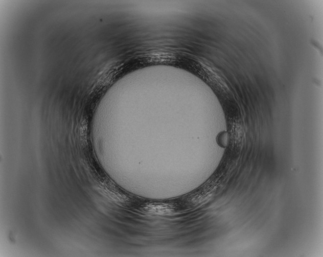 X0000098000557200804141209