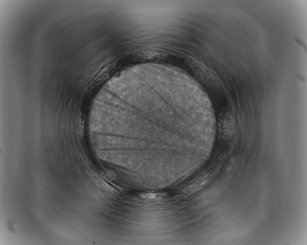 X0000098000558200804141209