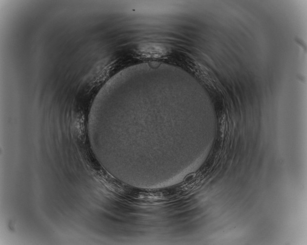 X0000098000559200804141209
