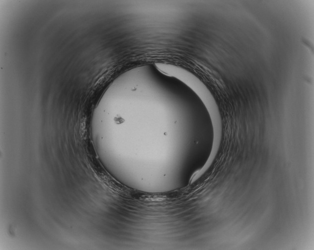 X0000098000560200804141209