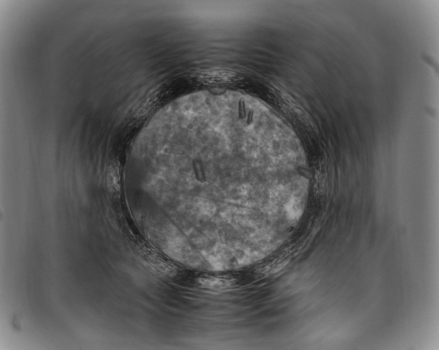 X0000098000561200804141209