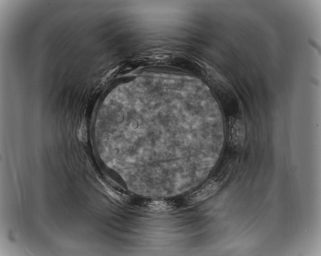 X0000098000562200804141209