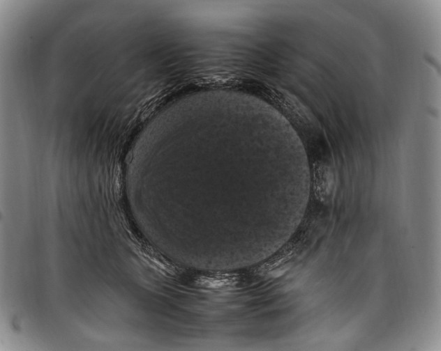 X0000098000563200804141209