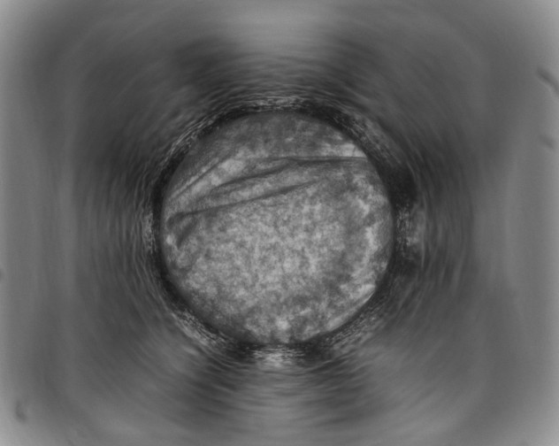 X0000098000564200804141209