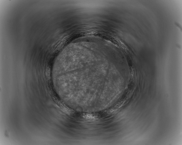 X0000098000565200804141210
