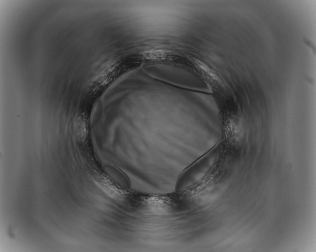 X0000098000566200804141210
