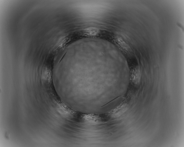 X0000098000568200804141210