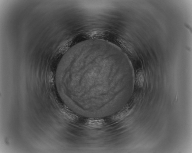 X0000098000571200804141210