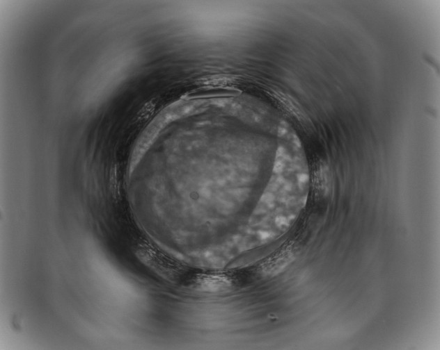 X0000098000572200804141210